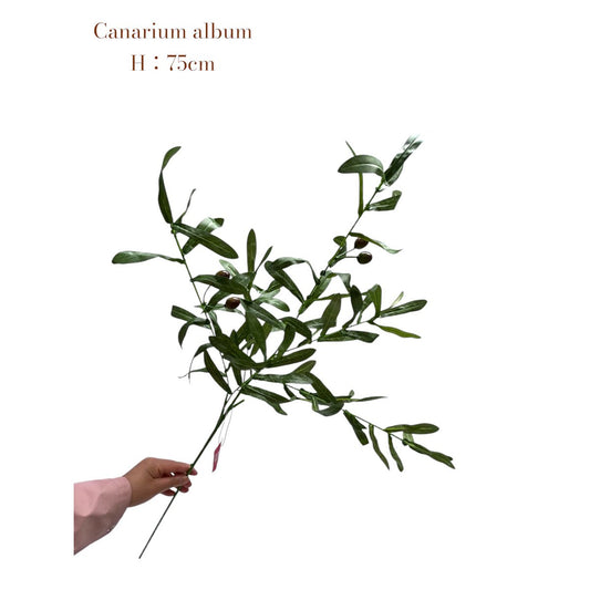 Canarium Album | Seide Künstliche Blumenlänge 75 1PCs - Yucca Deko