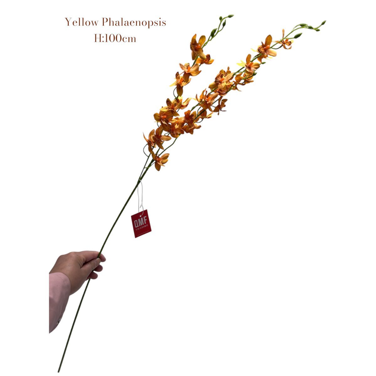 Gelbe Phalaenopsis | Seide Künstliche Blütenlänge 100 1pcs - Yucca Deko