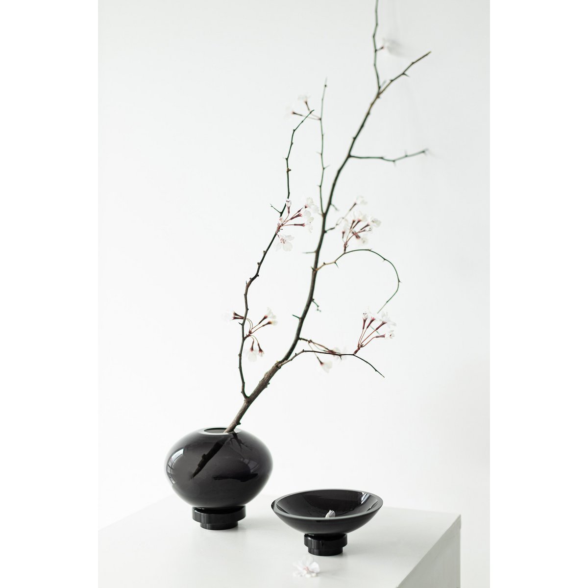 große Schüssel modernes innovatives Design, RUD12ZW, Luxusglas - Yucca Deko