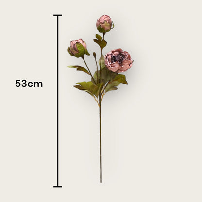 Herbstserie 3 Köpfe Pfingstrose Braun | Kunstblume aus Seide | Länge 53cm 1Stk - Yucca Deko