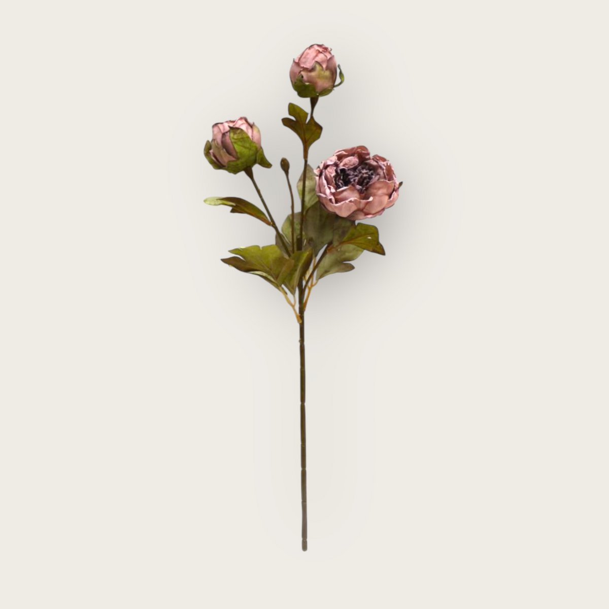 Herbstserie 3 Köpfe Pfingstrose Braun | Kunstblume aus Seide | Länge 53cm 1Stk - Yucca Deko