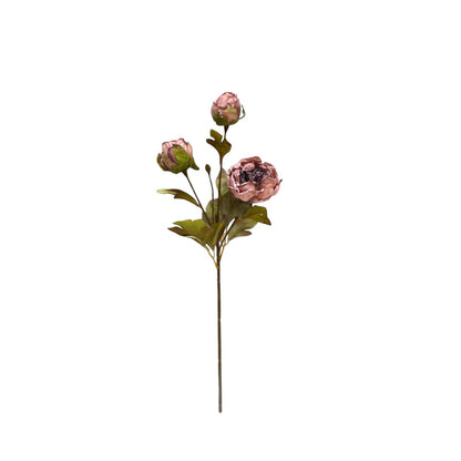 Herbstserie 3 Köpfe Pfingstrose Braun | Kunstblume aus Seide | Länge 53cm 1Stk - Yucca Deko