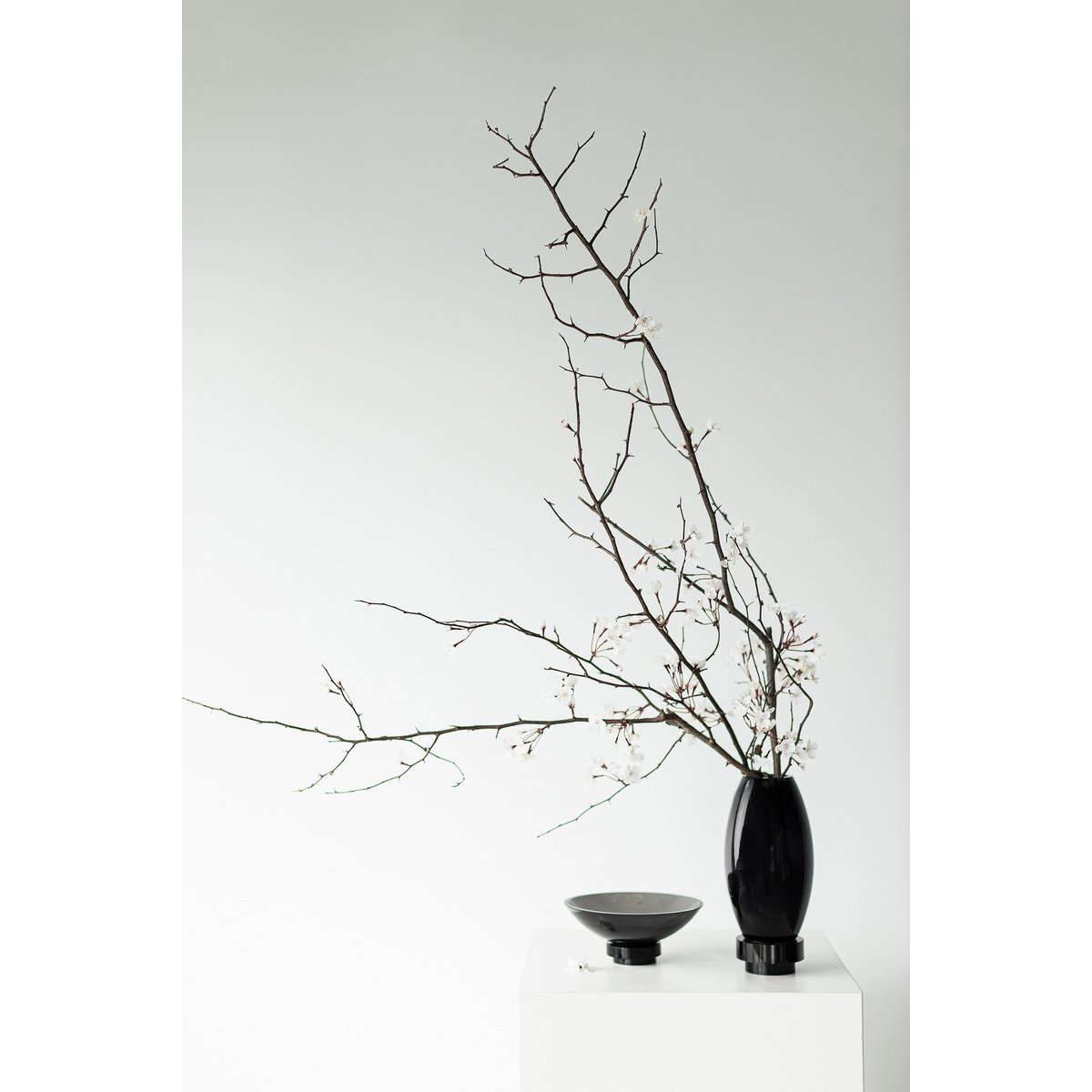 innovative Designschale, hochwertiges Glas, RUD10ZW - Yucca Deko