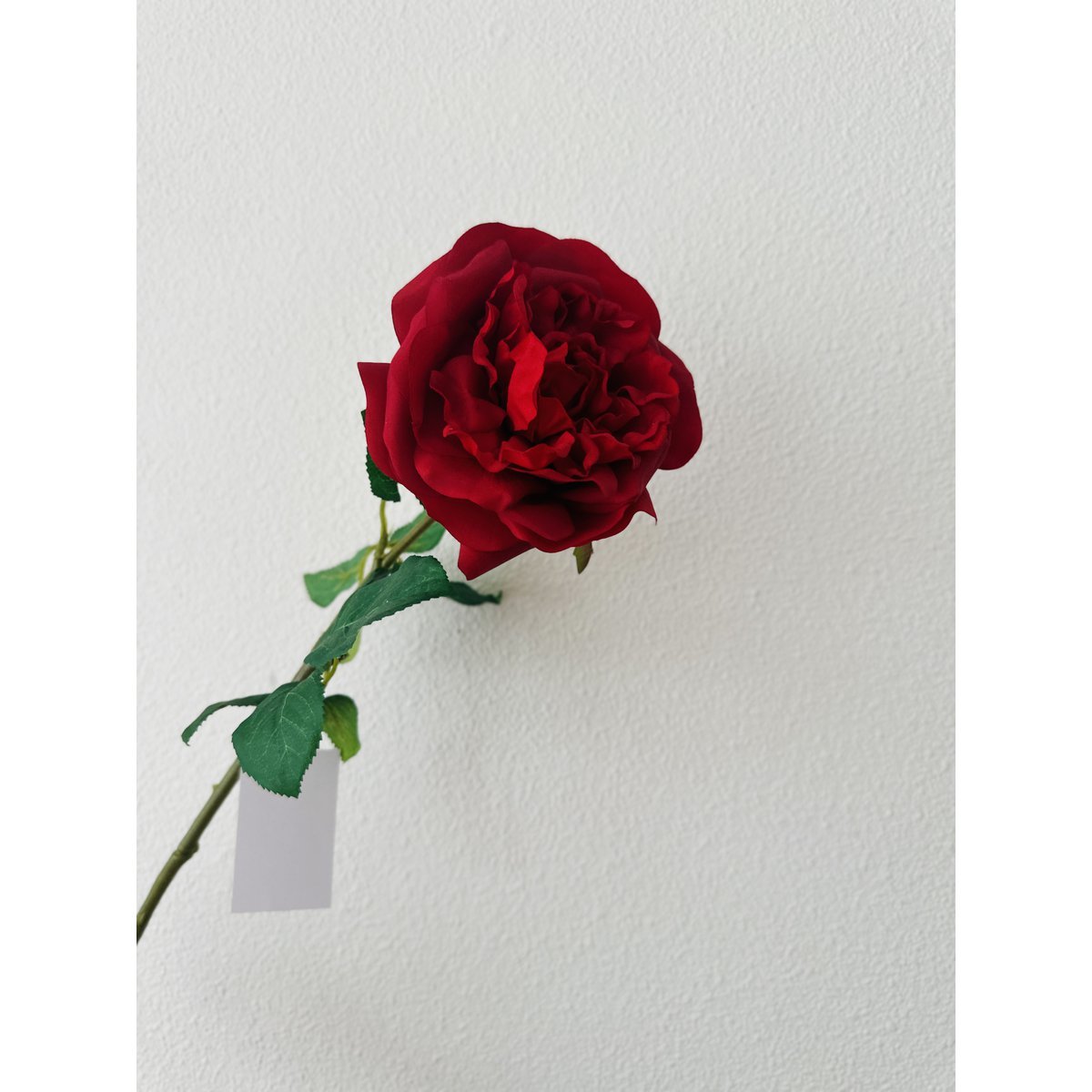 QMF Hand Touch Rose 65cm 1ST rot - Yucca Deko