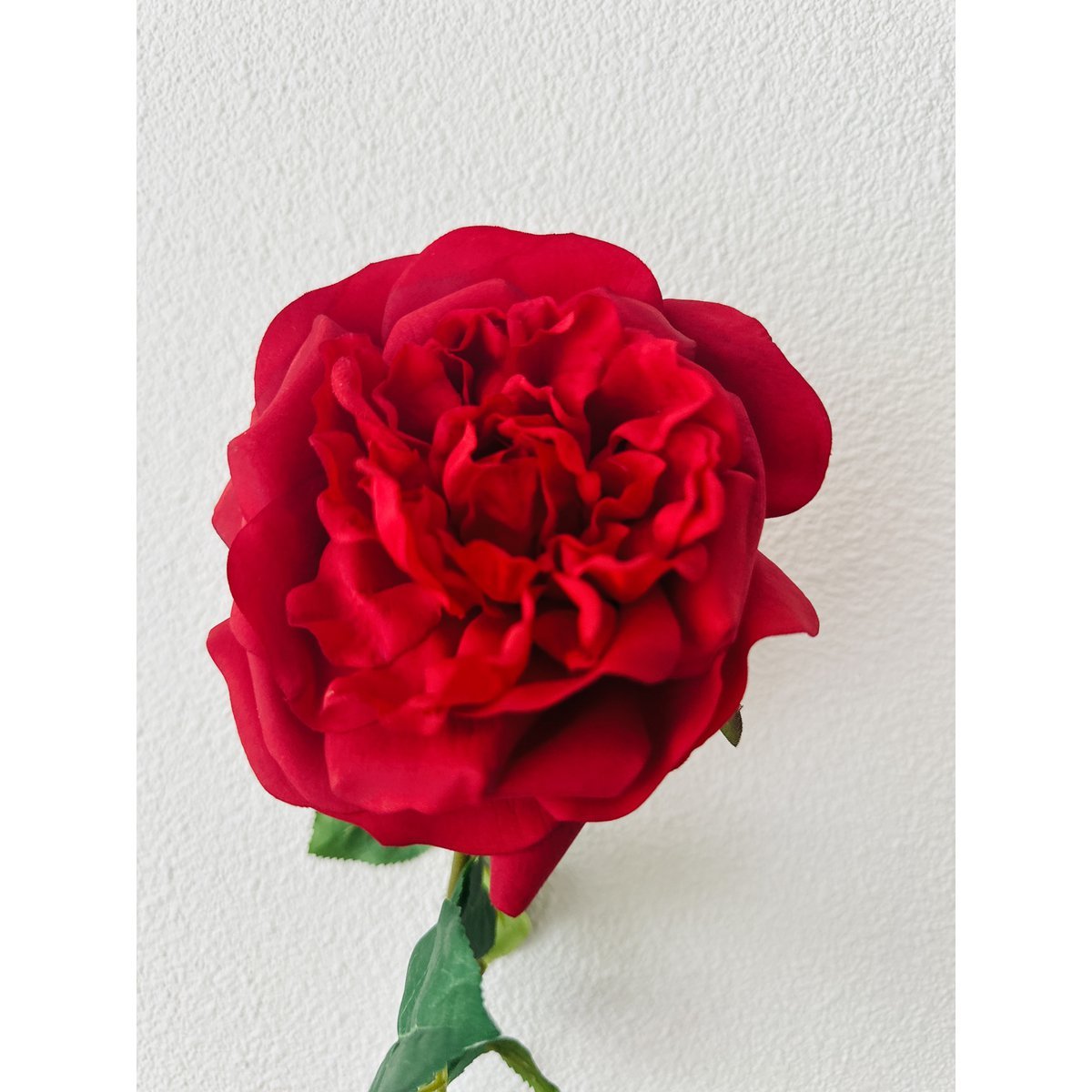 QMF Hand Touch Rose 65cm 1ST rot - Yucca Deko