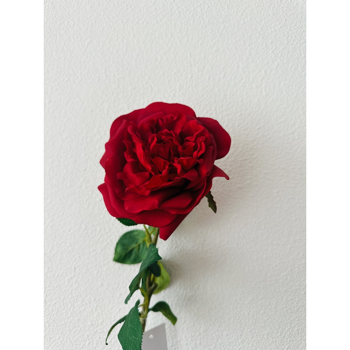 QMF Hand Touch Rose 65cm 1ST rot - Yucca Deko