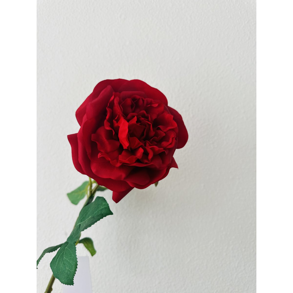QMF Hand Touch Rose 65cm 1ST rot - Yucca Deko