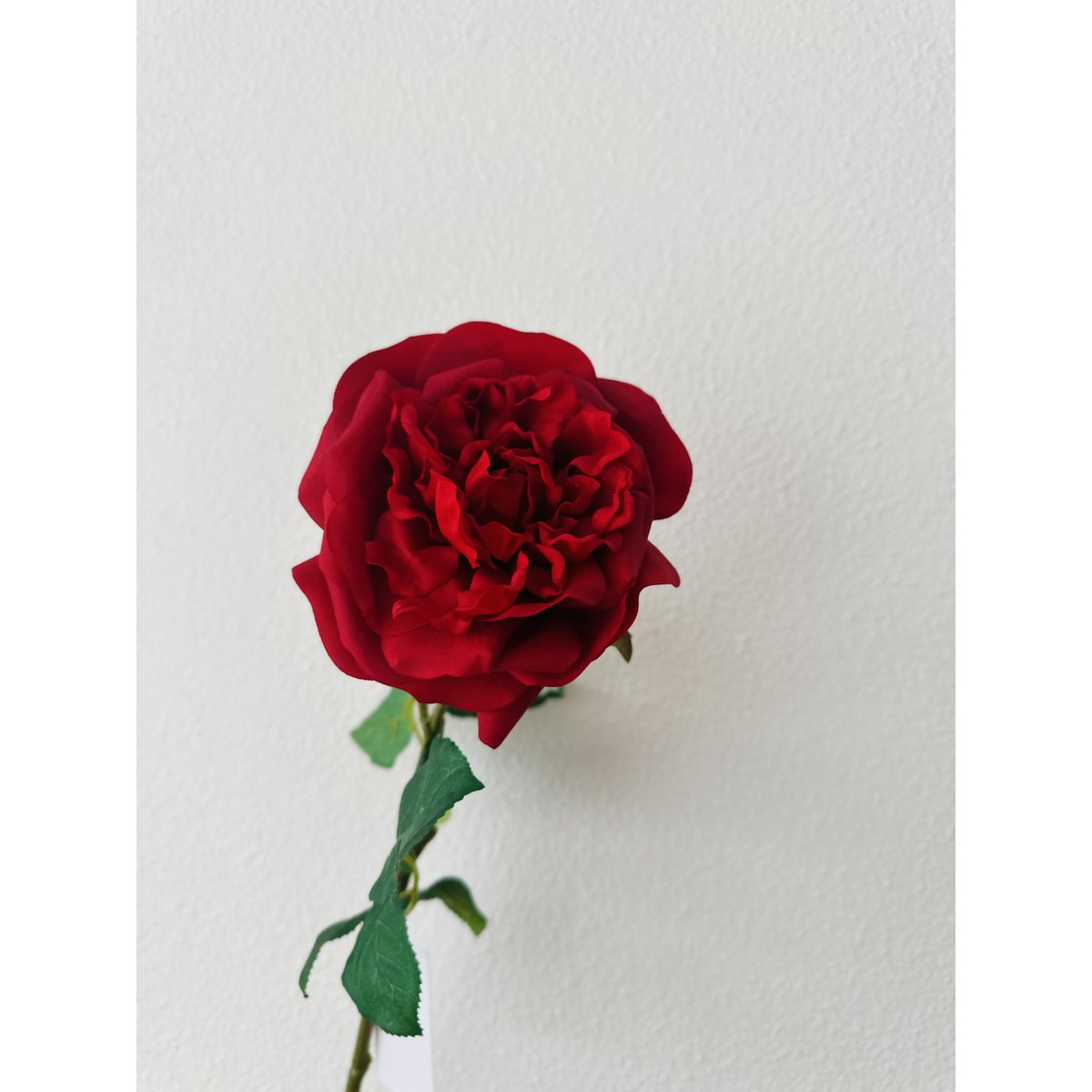 QMF Hand Touch Rose 65cm 1ST rot - Yucca Deko