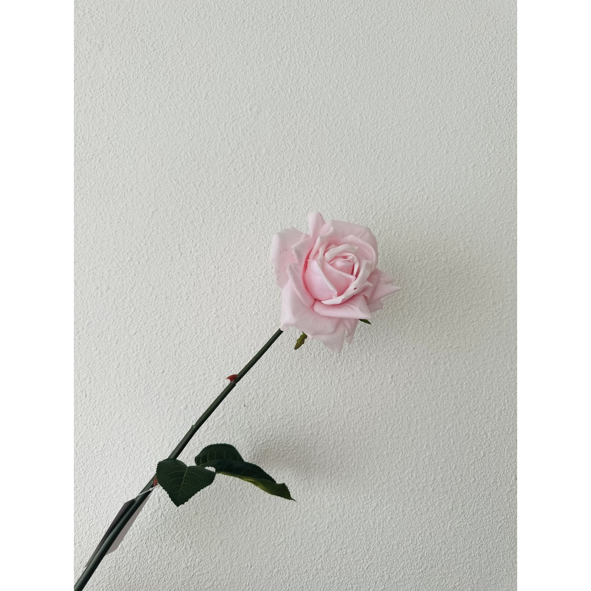 QMF Hand Touch Rose 72cm Hellrosa 2ST - Yucca Deko