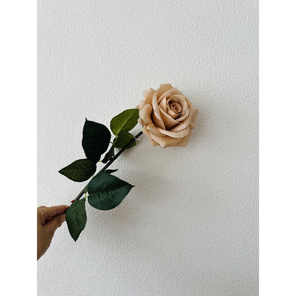 QMF Hand Touch Rose72cm Champagner 2ST - Yucca Deko