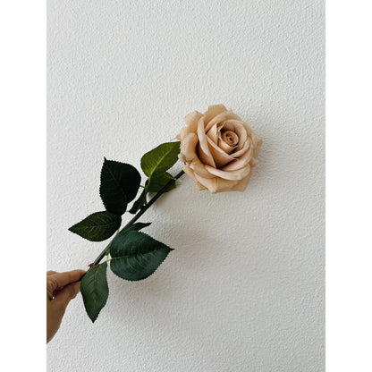 QMF Hand Touch Rose72cm Champagner 2ST - Yucca Deko