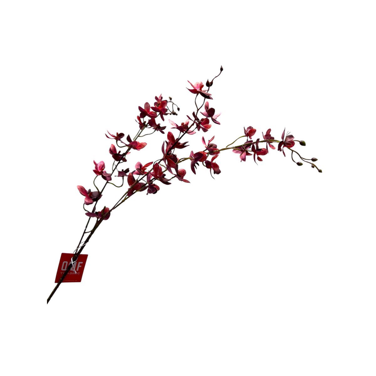 Red Phalaenopsis | Seide Künstliche Blütenlänge 100 1pcs - Yucca Deko