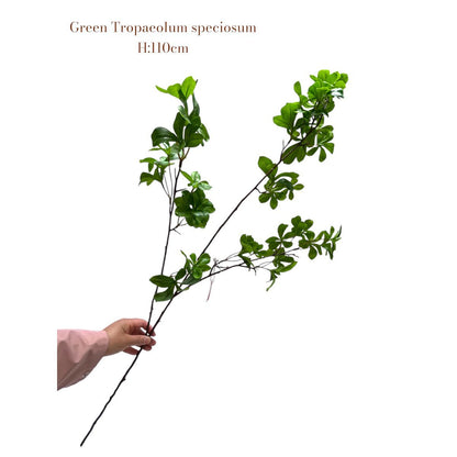 Tropaeolum speciosum grün | Seide Künstliche Blütenlänge 110 1pcs - Yucca Deko