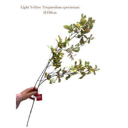Tropaeolum speciosum Light Yellow | Seide Künstliche Blütenlänge 110 1pcs - Yucca Deko