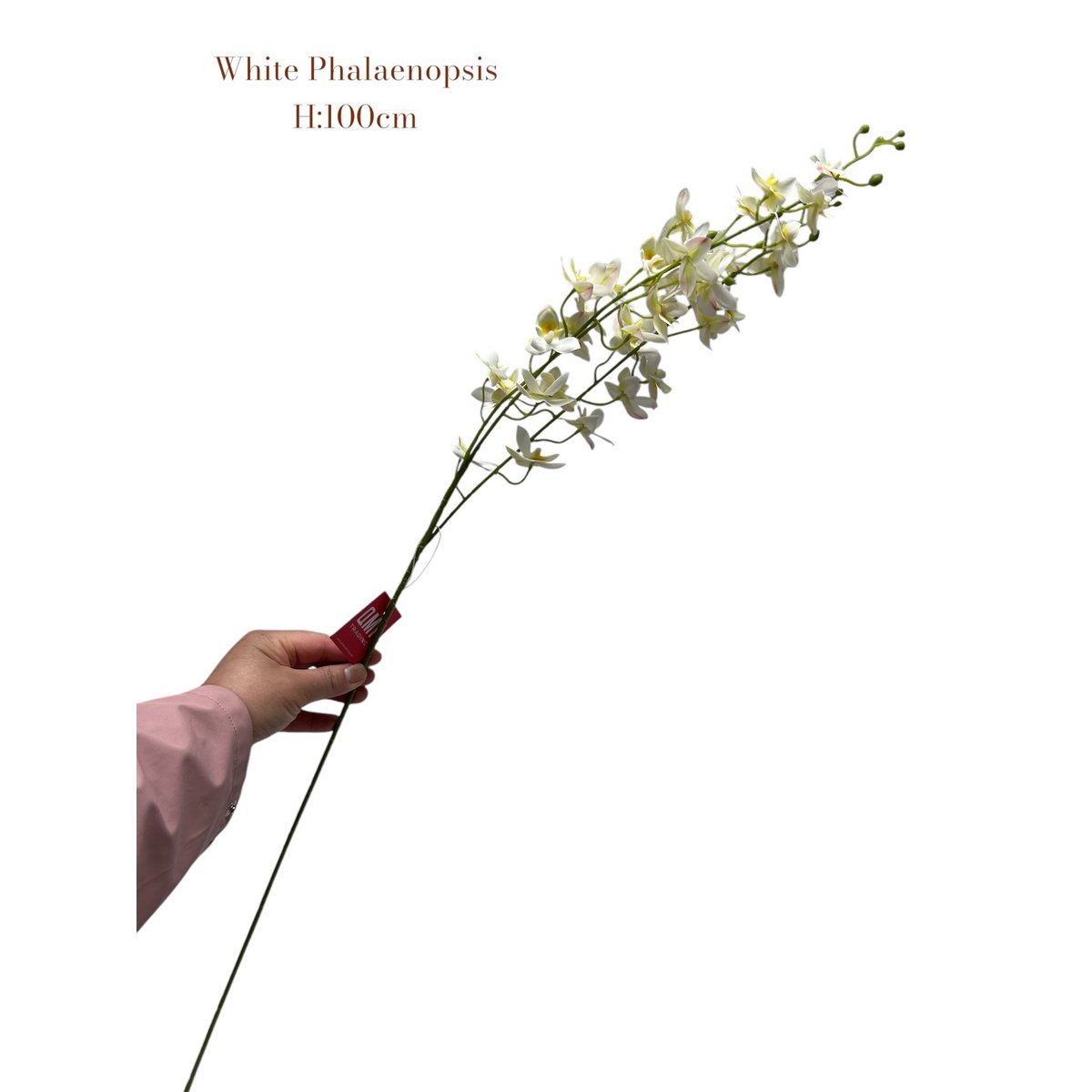 Weiße Phalaenopsis | Seide Künstliche Blütenlänge 100 1pcs - Yucca Deko