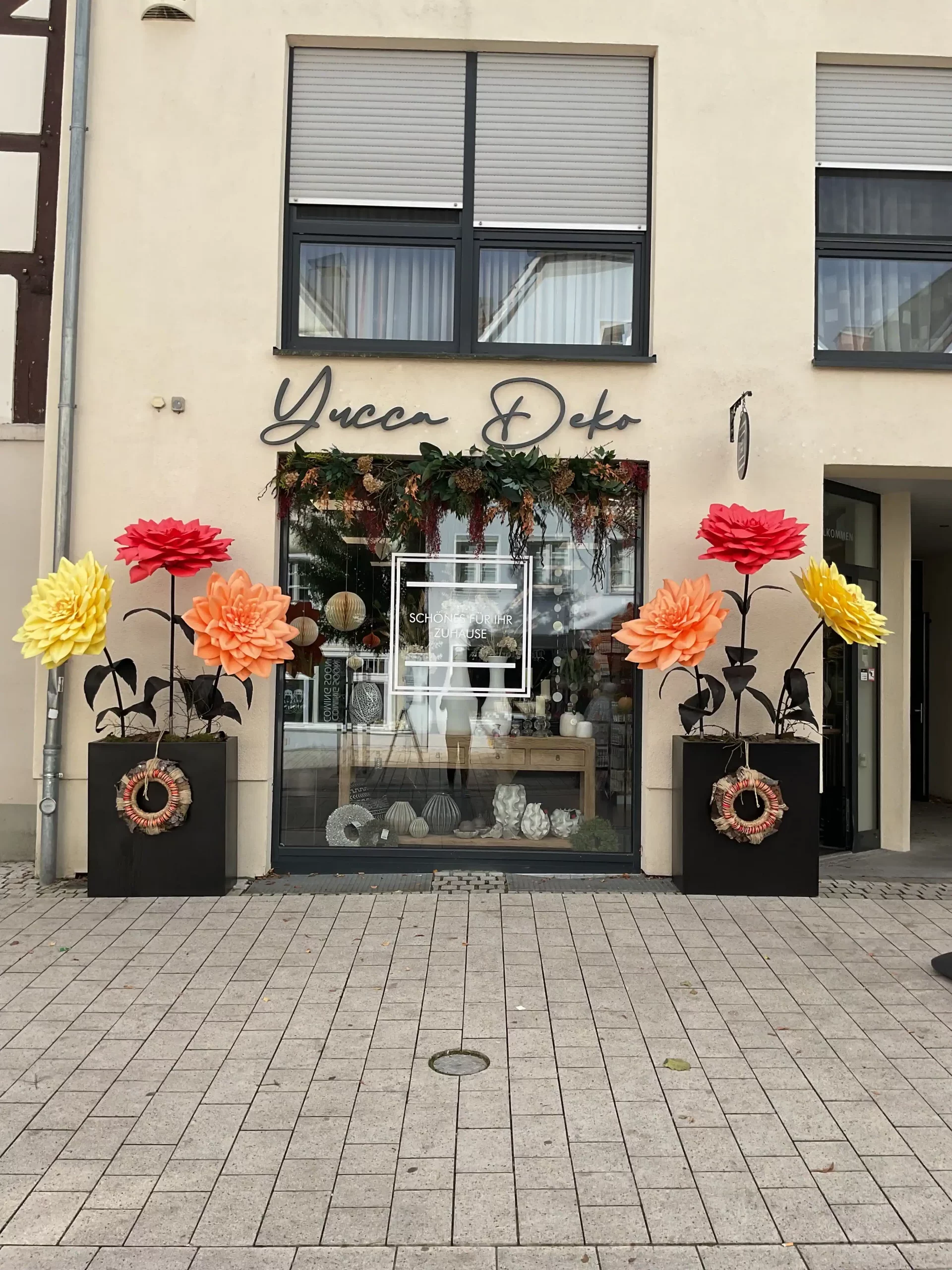 IMG_0095-1-scaled-e1727963942170