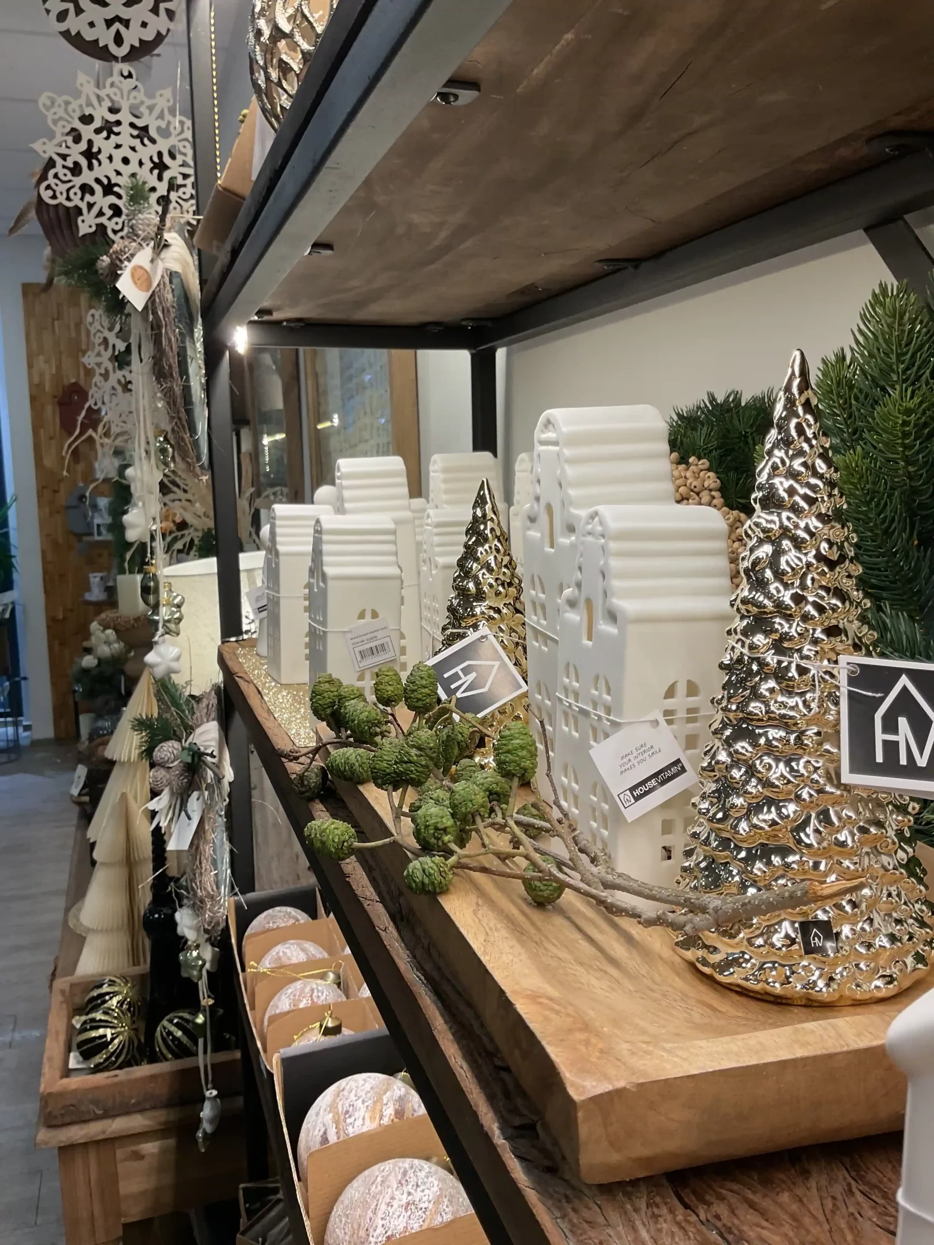 IMG_0216-scaled-e1730810598589