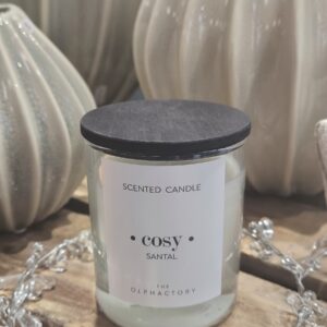 Duftkerze Santal Cosy 40Stunden