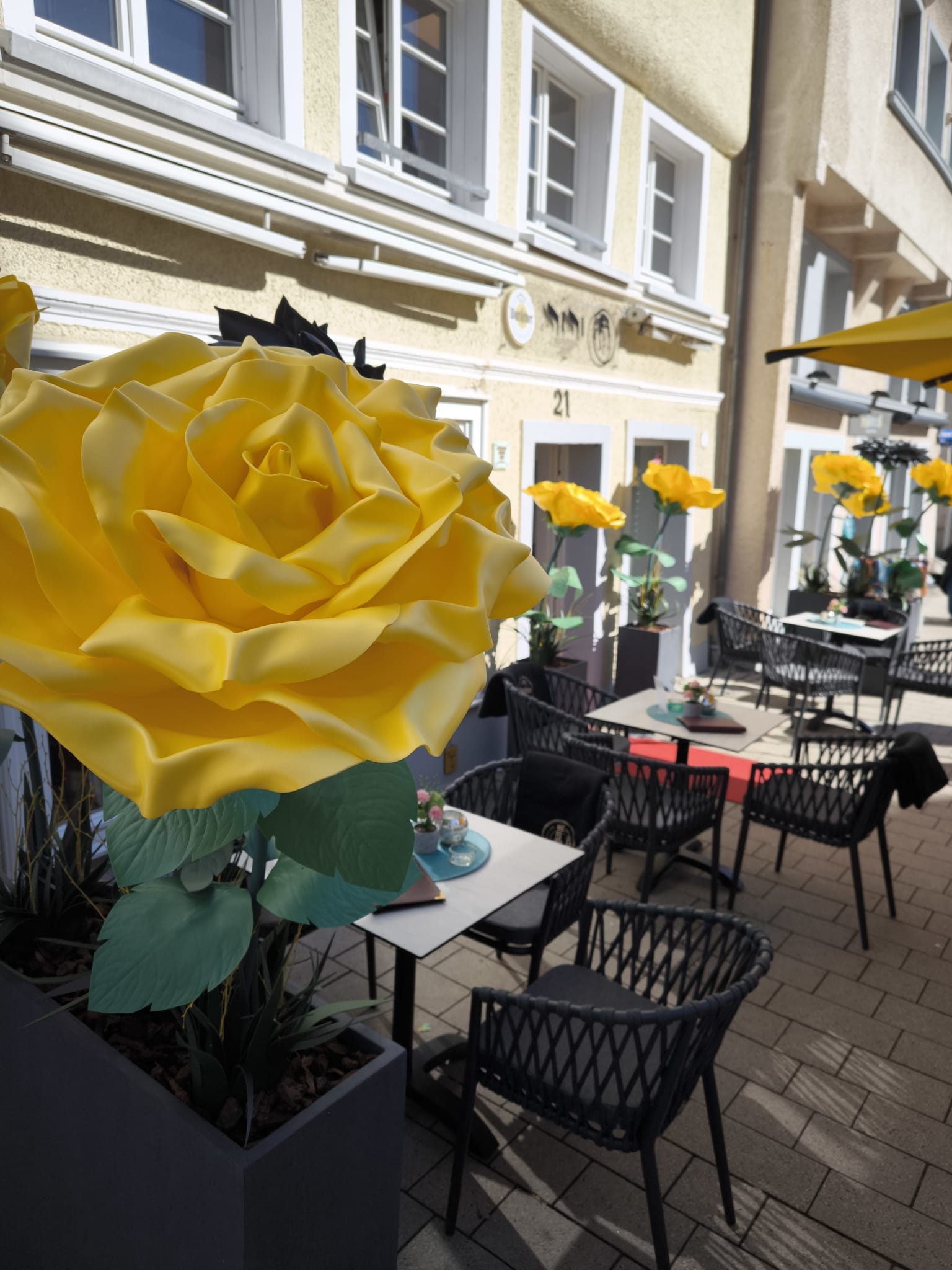 WhatsApp Image 2025-10-15 at 22.12.51 (1)