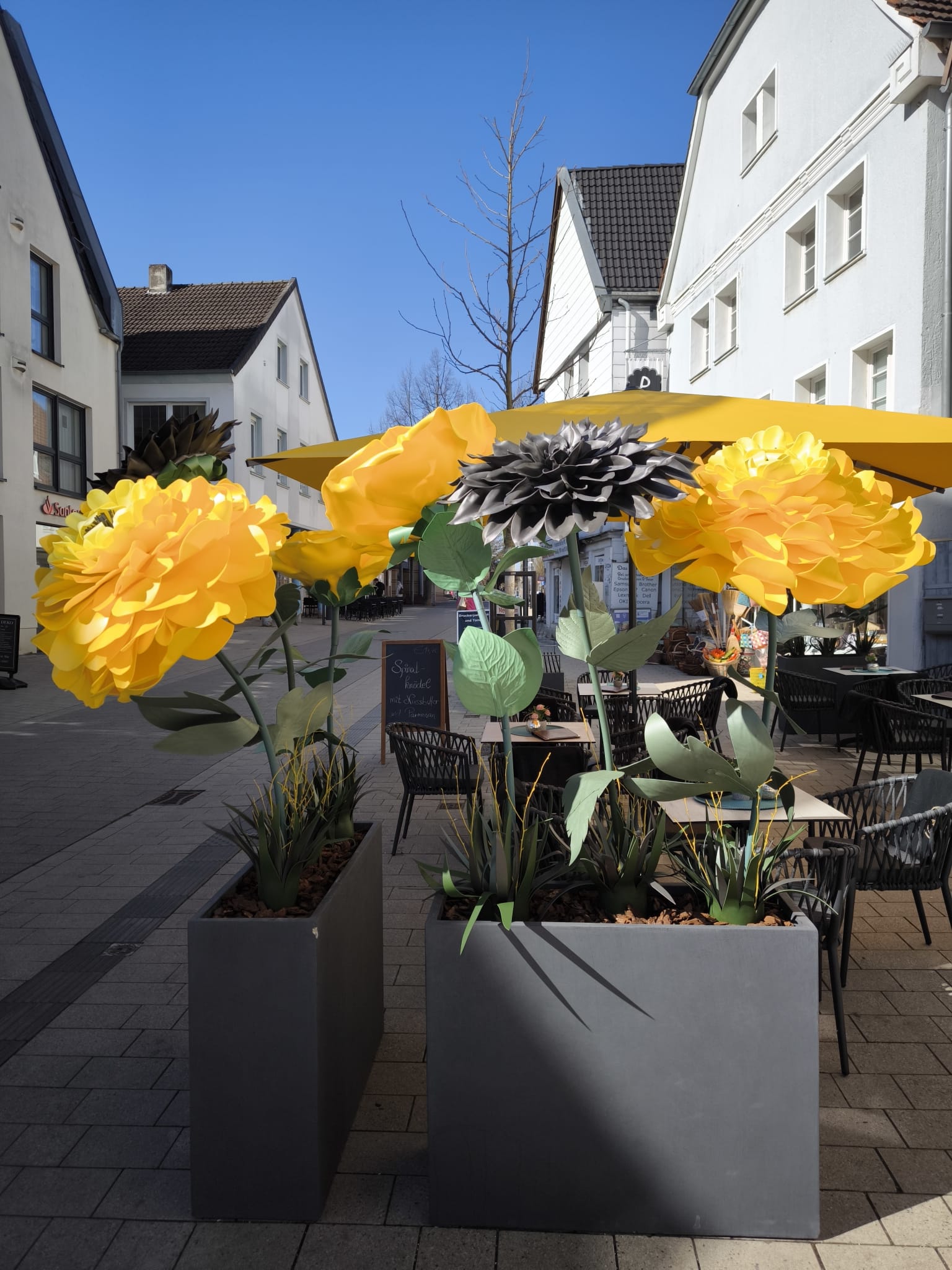 WhatsApp Image 2025-10-15 at 22.12.51