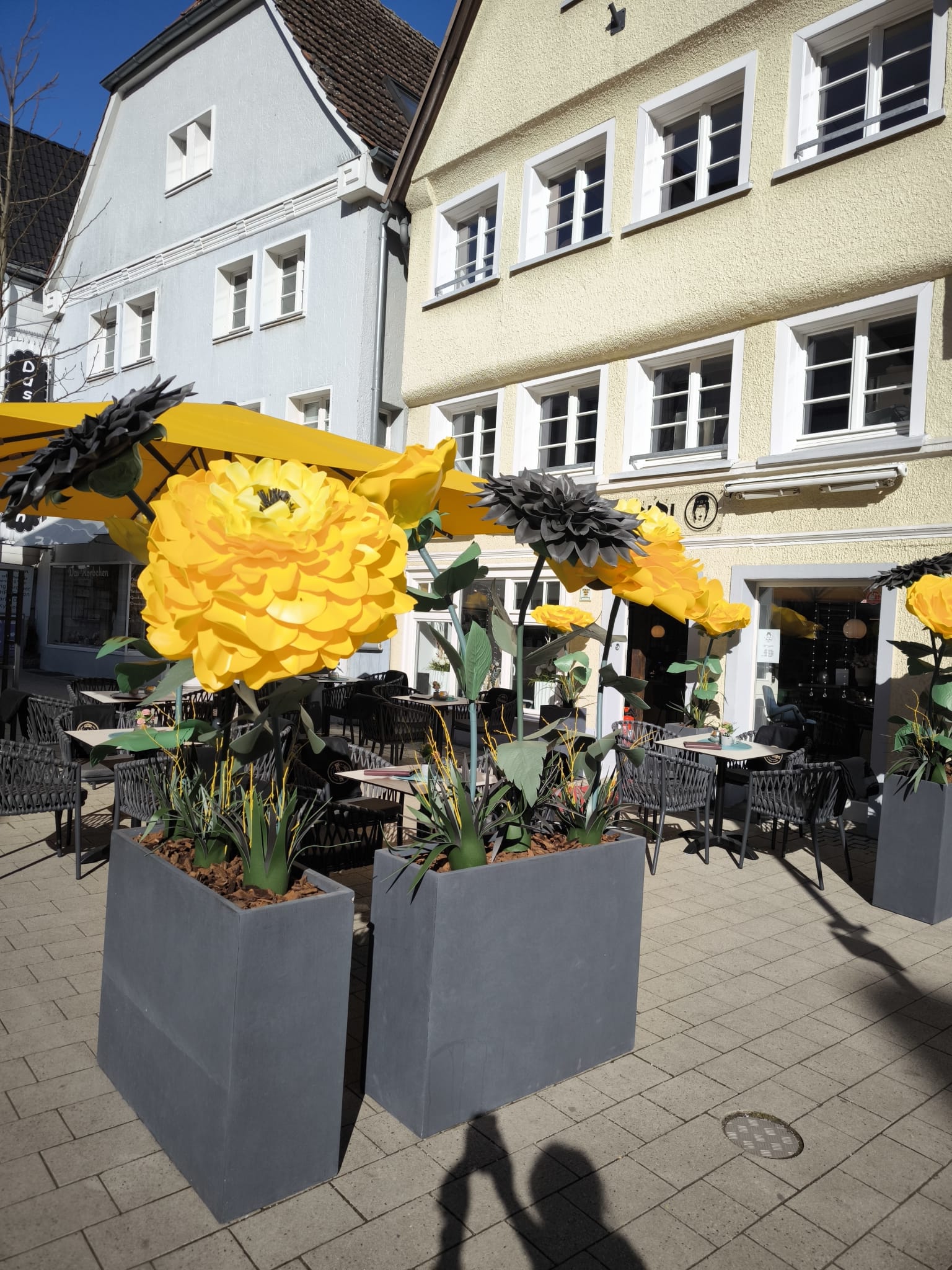 WhatsApp Image 2025-10-15 at 22.12.52 (1)