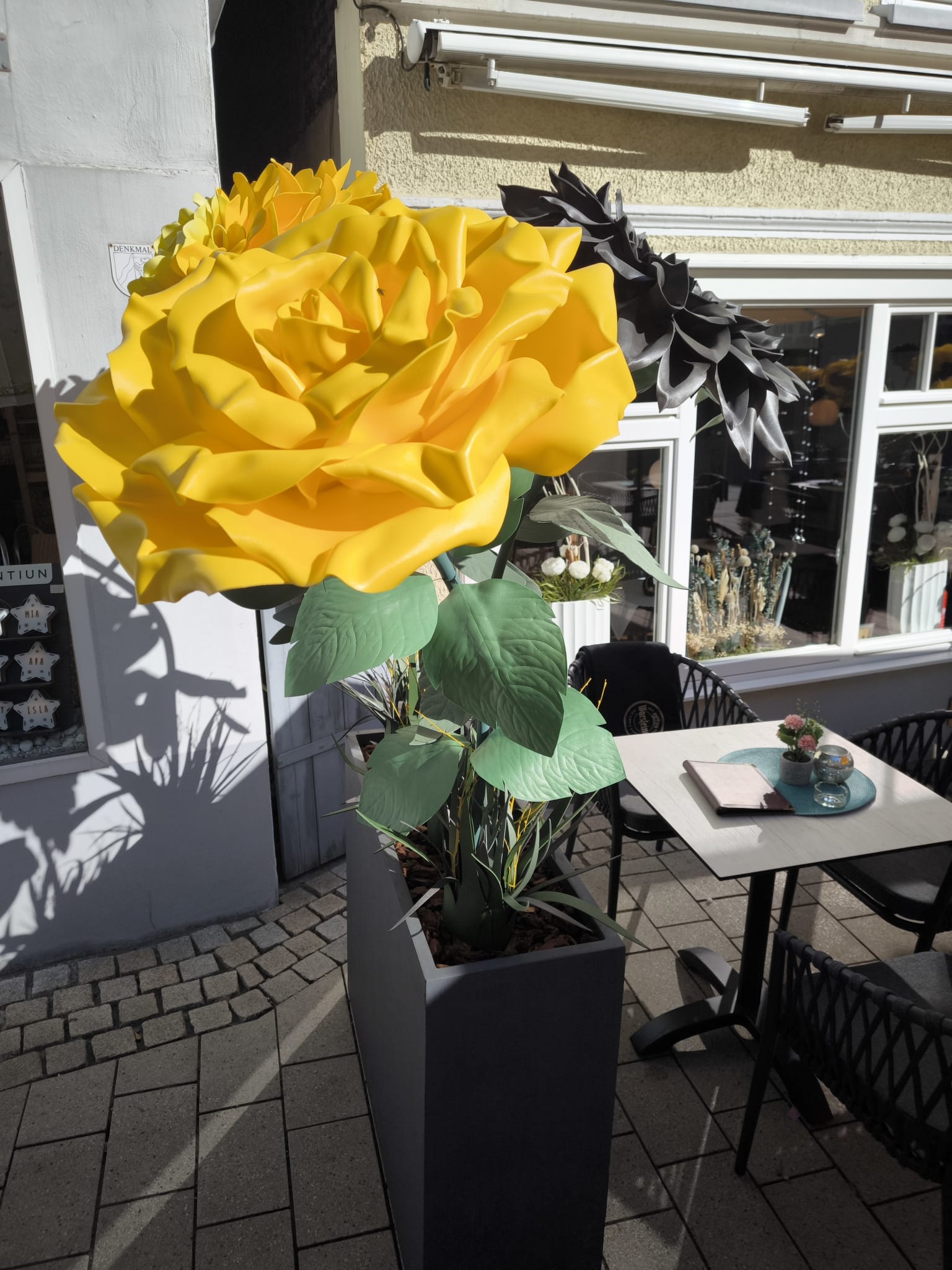 WhatsApp Image 2025-10-15 at 22.12.52