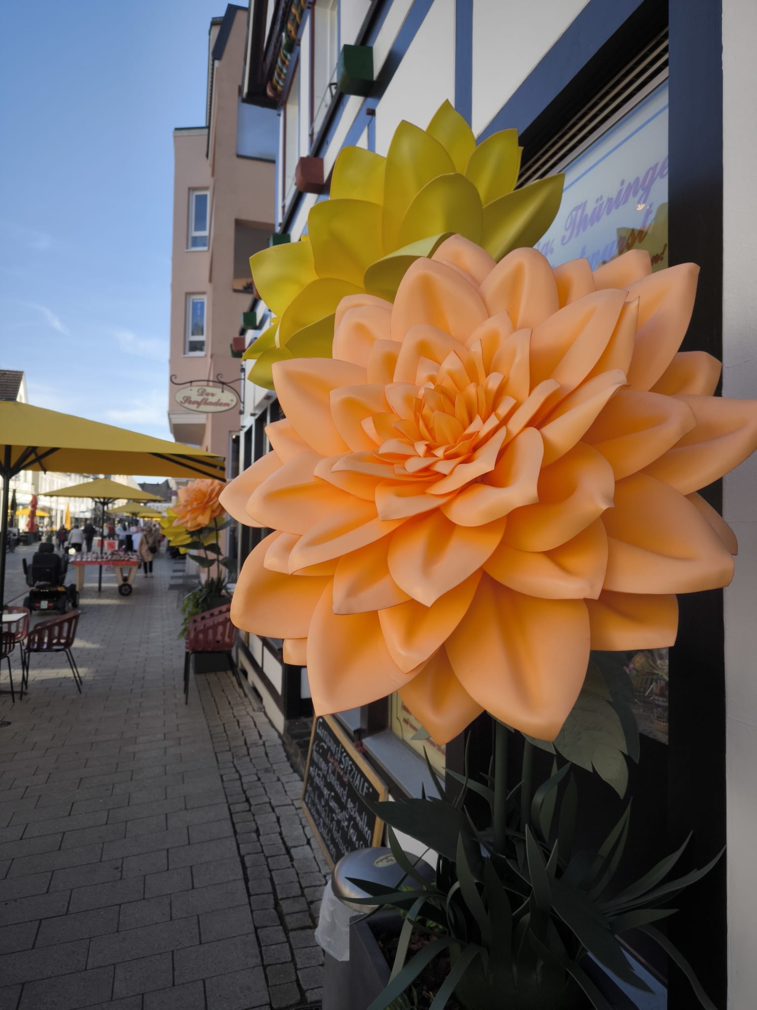 WhatsApp Image 2025-10-15 at 22.13.47